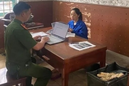 Dùng chiêu lừa góp vốn, nữ quái chiếm đoạt hơn 8 tỷ đồng