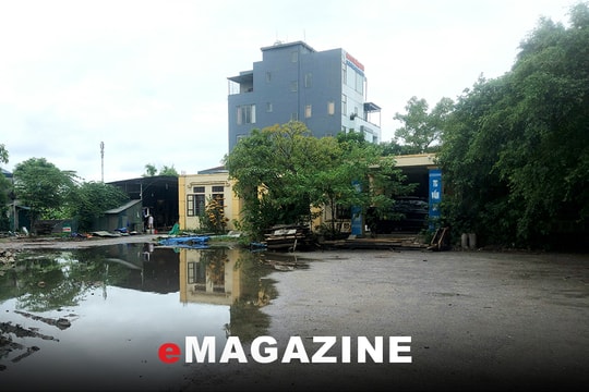 Sẽ thu hồi đất Dự án Trung tâm Việt Nhất ở phường Quán Bàu (thành phố Vinh)