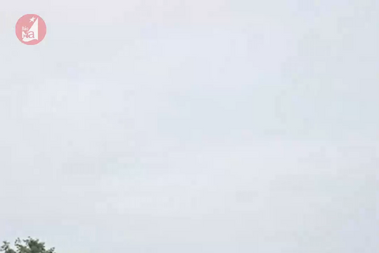 5 hộ giáo viên không có quyền sử dụng đất đối với khu tập thể Trường THPT Dân tộc nội trú Nghệ An