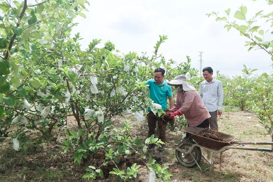 Nông dân Nghệ An phấn đấu sản xuất 90.000 tấn phân bón hữu cơ vi sinh