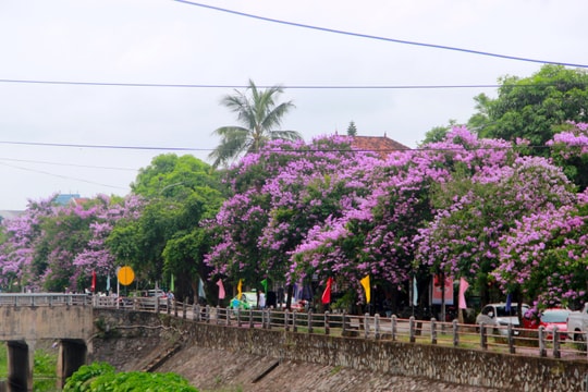 Dự báo thời tiết Nghệ An ngày 10/5: Ngày trời nắng, chiều và đêm có mưa rào và dông rải rác