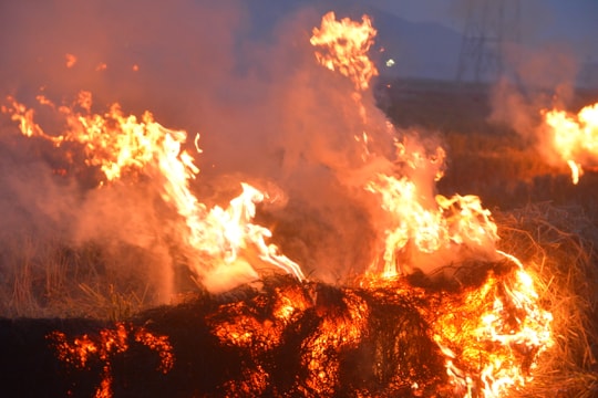 Ngộp thở vì khói khi nông dân đốt rơm rạ ngay trên đồng ruộng 