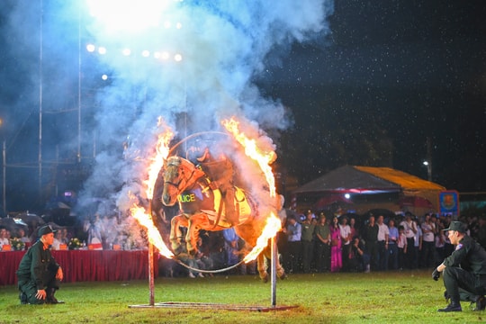 Lễ hội Làng Sen năm 2024