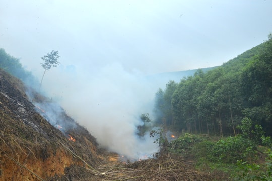 Cảnh báo nguy cơ cháy rừng từ đốt thực bì ở Nghệ An