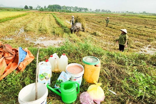 Nông dân Nghệ An 'biến' rơm rạ thành phân hữu cơ, xây dựng cánh đồng không khói