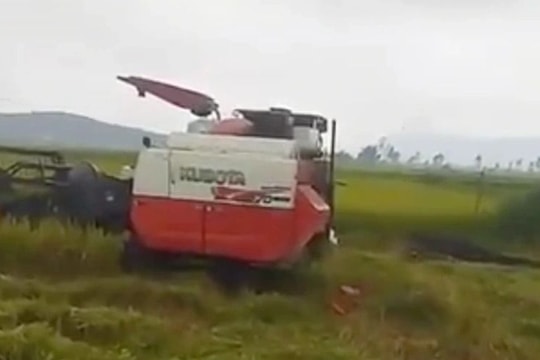 Người phụ nữ bị máy gặt cán tử vong khi nhặt lúa trên đồng