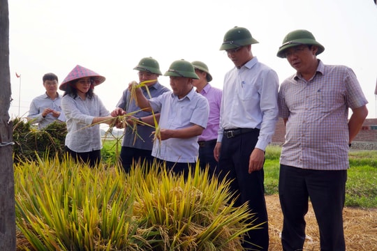 Phó Chủ tịch UBND tỉnh kiểm tra sản xuất nông nghiệp và phòng cháy chữa cháy rừng tại huyện Yên Thành 