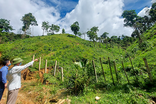 Xử lý dứt điểm tình trạng tranh chấp đất đai tại các công ty nông, lâm nghiệp