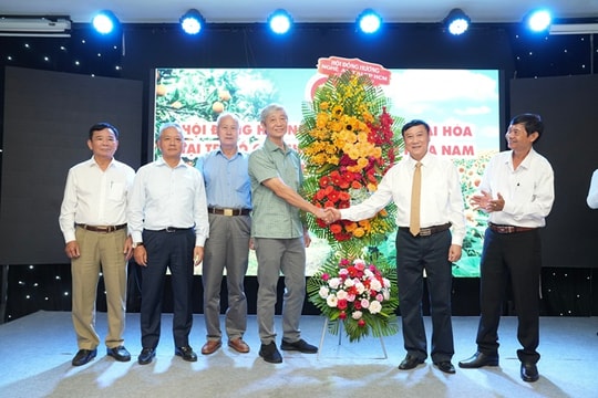 Ra mắt Hội đồng hương huyện Nghĩa Đàn - thị xã Thái Hòa tại TP. Hồ Chí Minh