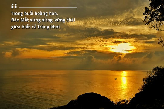 Sẽ thành lập Khu bảo tồn biển Hòn Ngư - Đảo Mắt rộng 3.000 ha tại Nghệ An