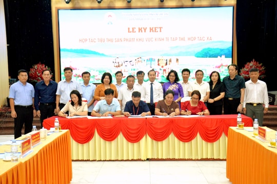 Hợp tác xã Nghệ An ký kết tiêu thụ sản phẩm tại diễn đàn kết nối cung - cầu