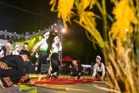 Những hình ảnh ấn tượng tại Lễ hội quảng diễn đường phố 'Quê hương mùa sen nở'