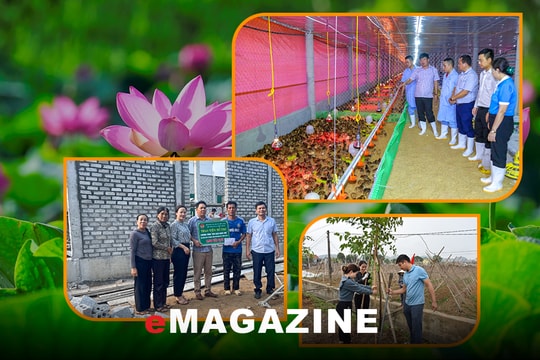 Lan tỏa phong trào nông dân học và làm theo Bác