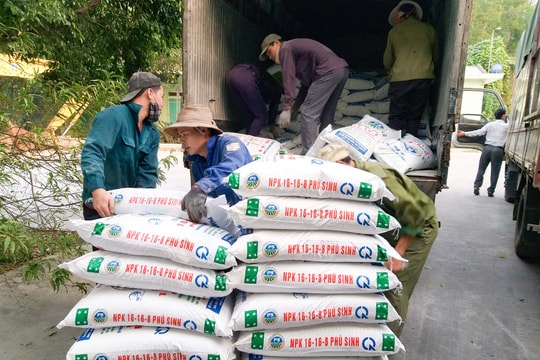 Nông dân Nghệ An chủ động ứng phó khi giá phân bón rục rịch tăng trước vụ hè thu
