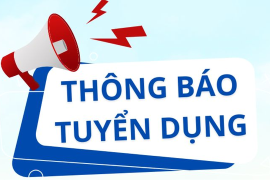 Ban Quản lý dự án 4 thông báo về việc tuyển dụng viên chức năm 2024 (lần 1) 