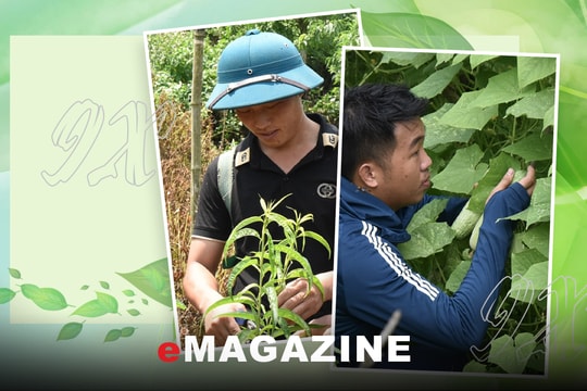 Khát vọng tạo sinh kế cho dân bản của những 9X vùng cao