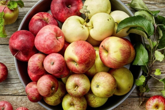 6 loại trái cây mang lại lợi ích bất ngờ cho sức khỏe, ngừa bệnh tật