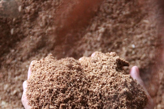 Làm kinh tế xanh từ mùn cưa và các phụ phẩm nông nghiệp