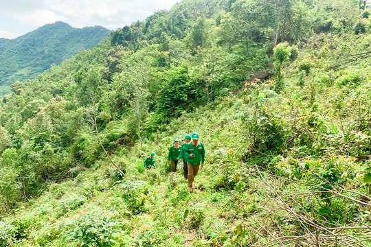 Nghệ An ứng dụng công nghệ số để giữ rừng