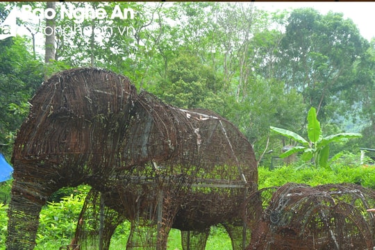 Hơn 15.000 chiếc bẫy thú kết thành cặp voi rừng