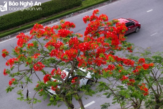 Dự báo thời tiết ngày 28/5: Nghệ An nắng nóng gay gắt, có nơi vượt 38 độ C