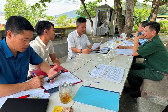 Chủ tịch UBND tỉnh Nghệ An làm Trưởng ban chỉ đạo chống khai thác hải sản trái phép