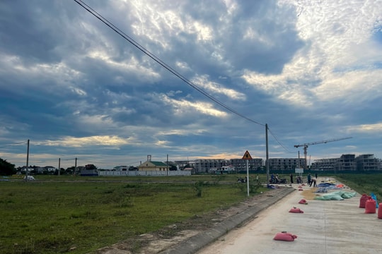 Ai là đại diện chủ sở hữu về đất đai theo Luật Đất đai 2024?