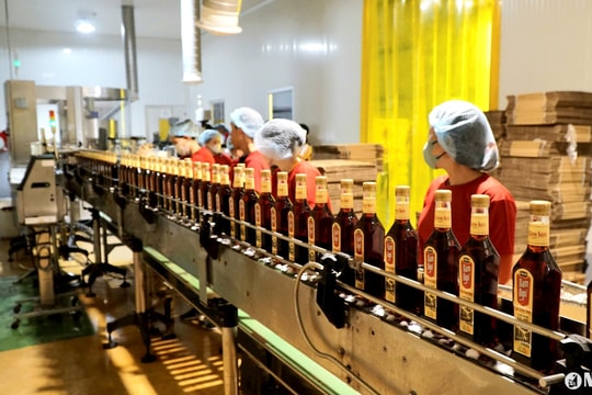 Gừng Kỳ Sơn có sự đồng hành của nước mắm Nam Ngư, Chin – Su