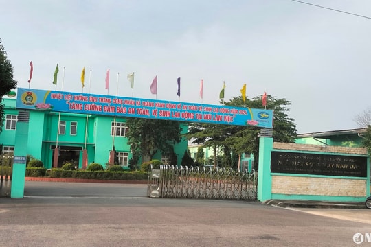 Ngừng việc tập thể tại nhà máy may Chi nhánh Hanosimex: Công nhân đã trở lại làm việc