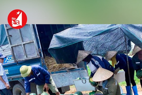 Nắng nóng, loại quả ‘giải nhiệt’ thu hoạch đến đâu, bán hết đến đó