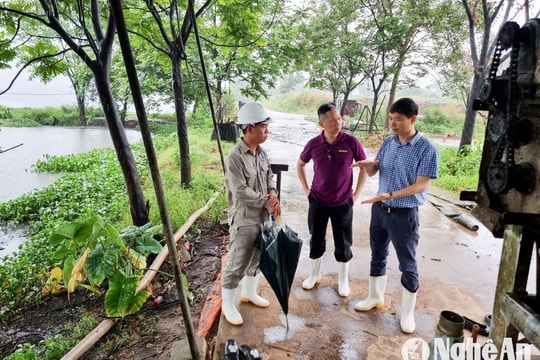 Nghệ An kết nối với doanh nghiệp Singapore hợp tác sản xuất thức ăn chăn nuôi sử dụng công nghệ xanh