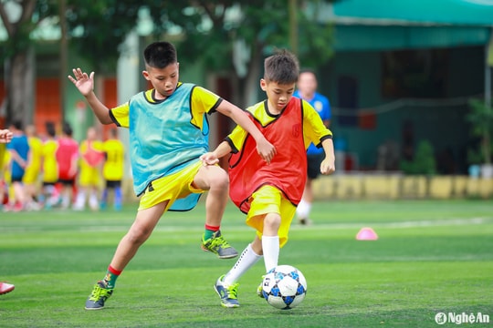 Sông Lam Nghệ An tuyển chọn 20 cầu thủ tham gia Giải U9 toàn quốc