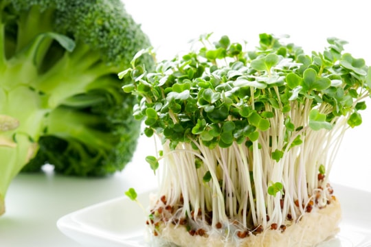 Những lợi ích bất ngờ của mầm súp lơ xanh