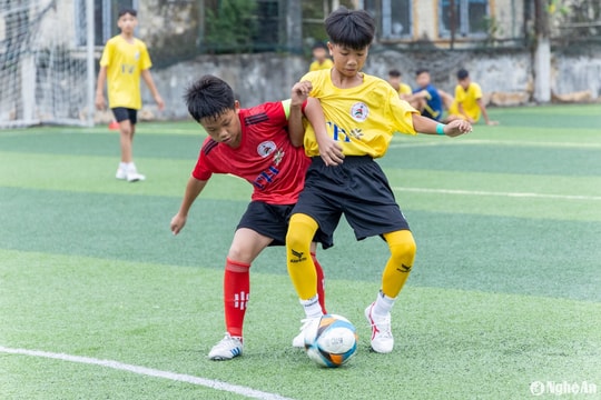 Hightlight Thiếu niên Thành phố Vinh - Thiếu niên Qùy Châu: 4 - 1