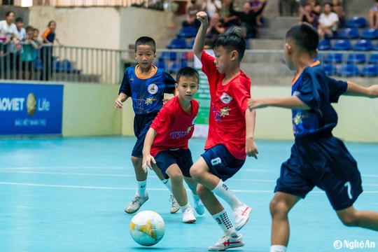 Highlight Nhi đồng Thái Hòa - Nhi đồng Đô Lương: 3-1