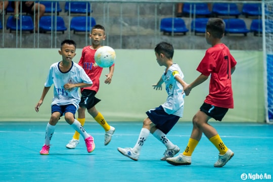 Highlight Nhi đồng Quỳ Hợp - Nhi đồng TX Hoàng Mai: 3-0