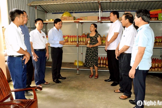 HĐND tỉnh Nghệ An đề nghị tháo gỡ vướng mắc trong xây dựng nông thôn mới