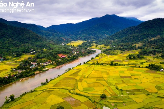 Dự báo thời tiết tỉnh Nghệ An ngày 11/6