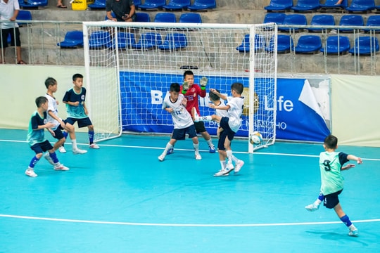 Highlight Nhi đồng TX. Hoàng Mai - NĐ Quỳnh Lưu: 3-0