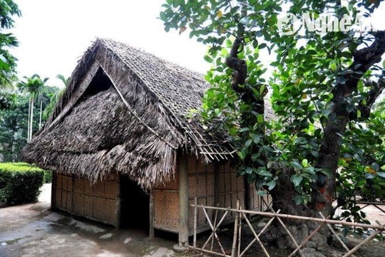 Ký ức về cây mít cổ thụ của ông bà ngoại Bác Hồ