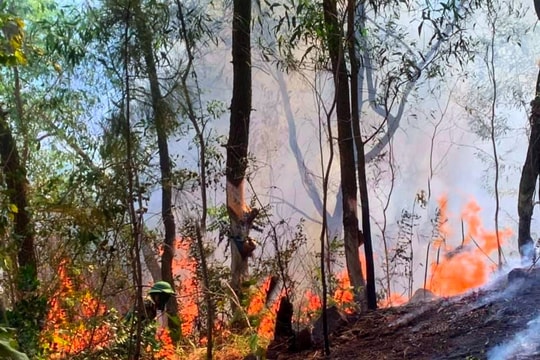 Nghệ An cảnh báo nguy cơ cháy rừng đến cấp cực kỳ nguy hiểm