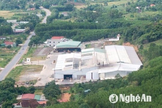 Chưa đủ giấy phép, một nhà máy ván ép tại Nghĩa Đàn vẫn đi vào hoạt động