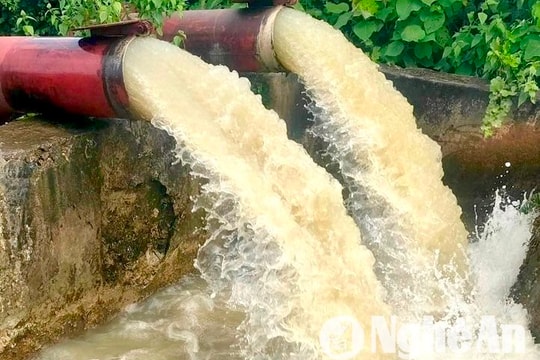 Trạm bơm ở Nghệ An hoạt động hết công suất dưỡng lúa hè thu