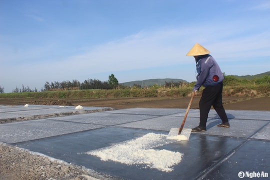 Về nơi nắng càng to, nông dân càng mừng