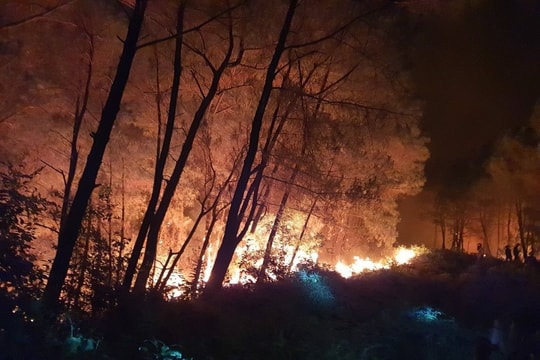 Cảnh báo cháy rừng ở Nghệ An đến cấp cực kỳ nguy hiểm