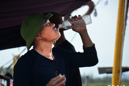 Ngư dân Nghệ An bám biển dưới nắng nóng hầm hập