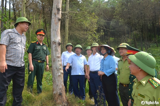 Phó Chủ tịch UBND tỉnh kiểm tra phòng cháy, chữa cháy rừng ở Nghi Lộc
