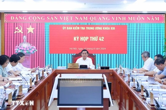 Bộ Chính trị, Ban Bí thư xem xét, thi hành kỷ luật tổ chức đảng, đảng viên