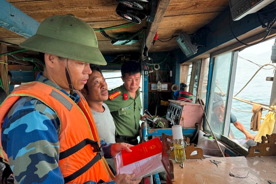 Xử lý hình sự đối với hành vi khai thác, mua bán trái phép thủy sản