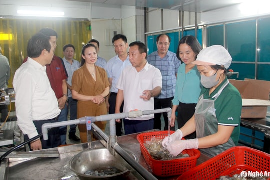 Nghệ An xử phạt 505 cơ sở vi phạm vệ sinh an toàn thực phẩm